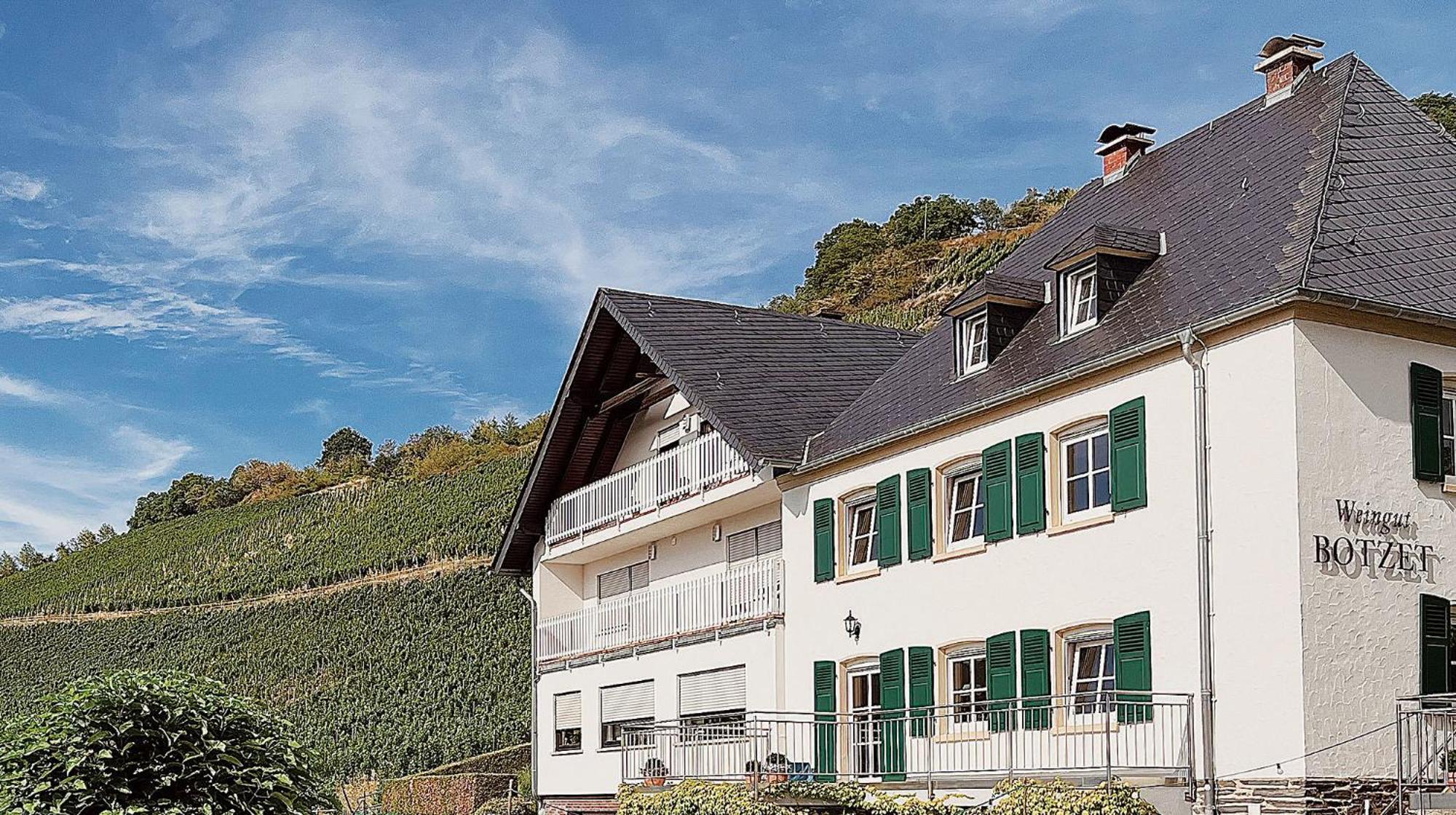 مارينغ - نوفياند Pension 1595 Im Weingut Botzet المظهر الخارجي الصورة